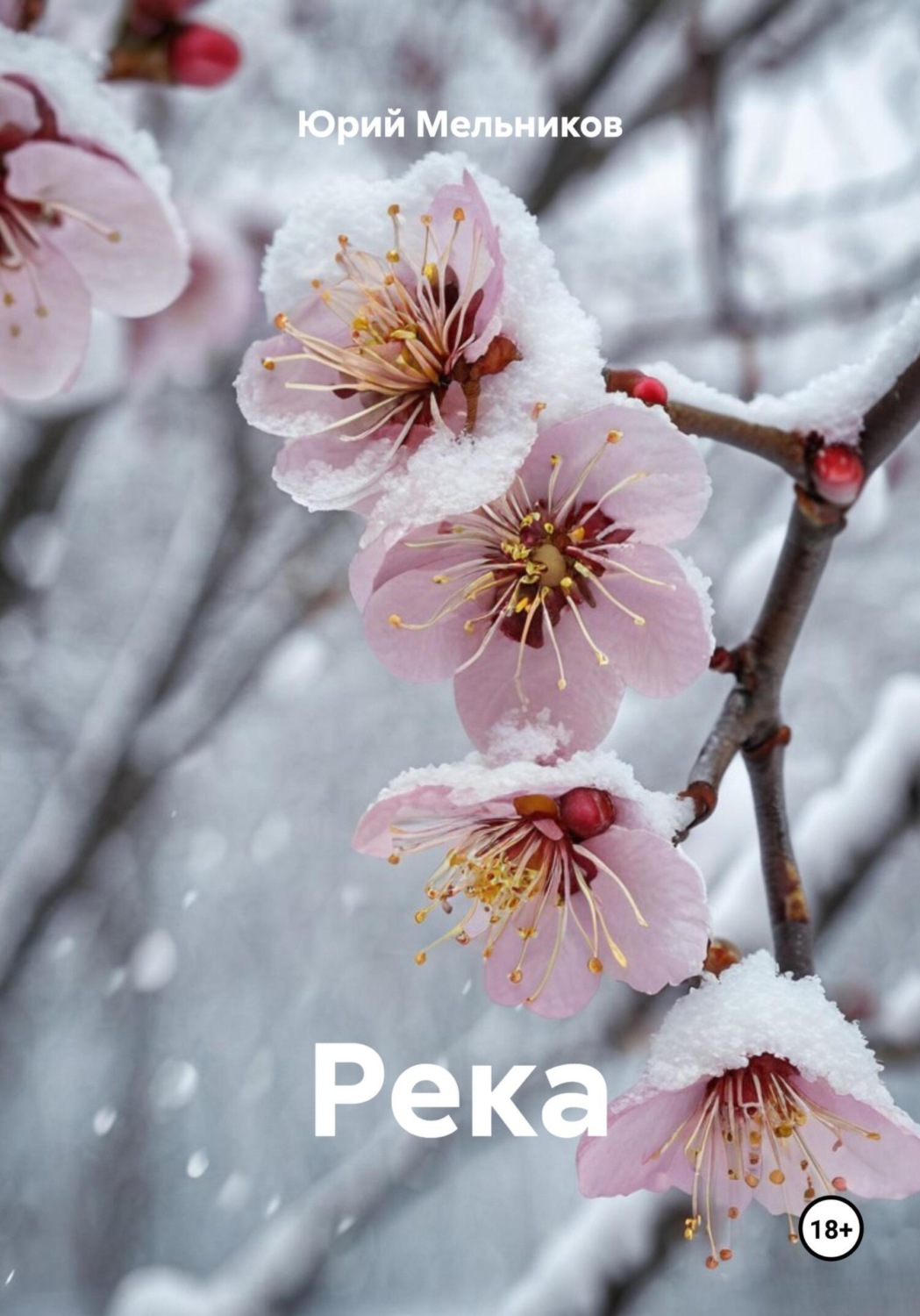 Обложка книги «Река»