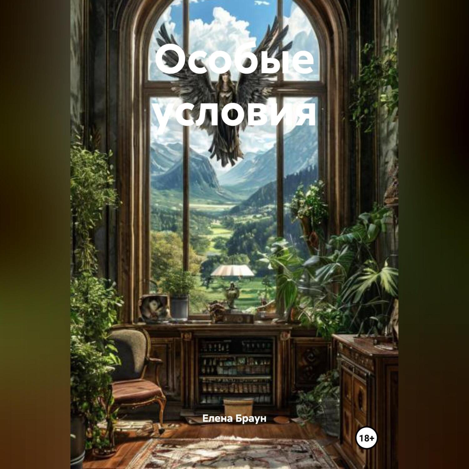 Обложка книги «Особые условия»