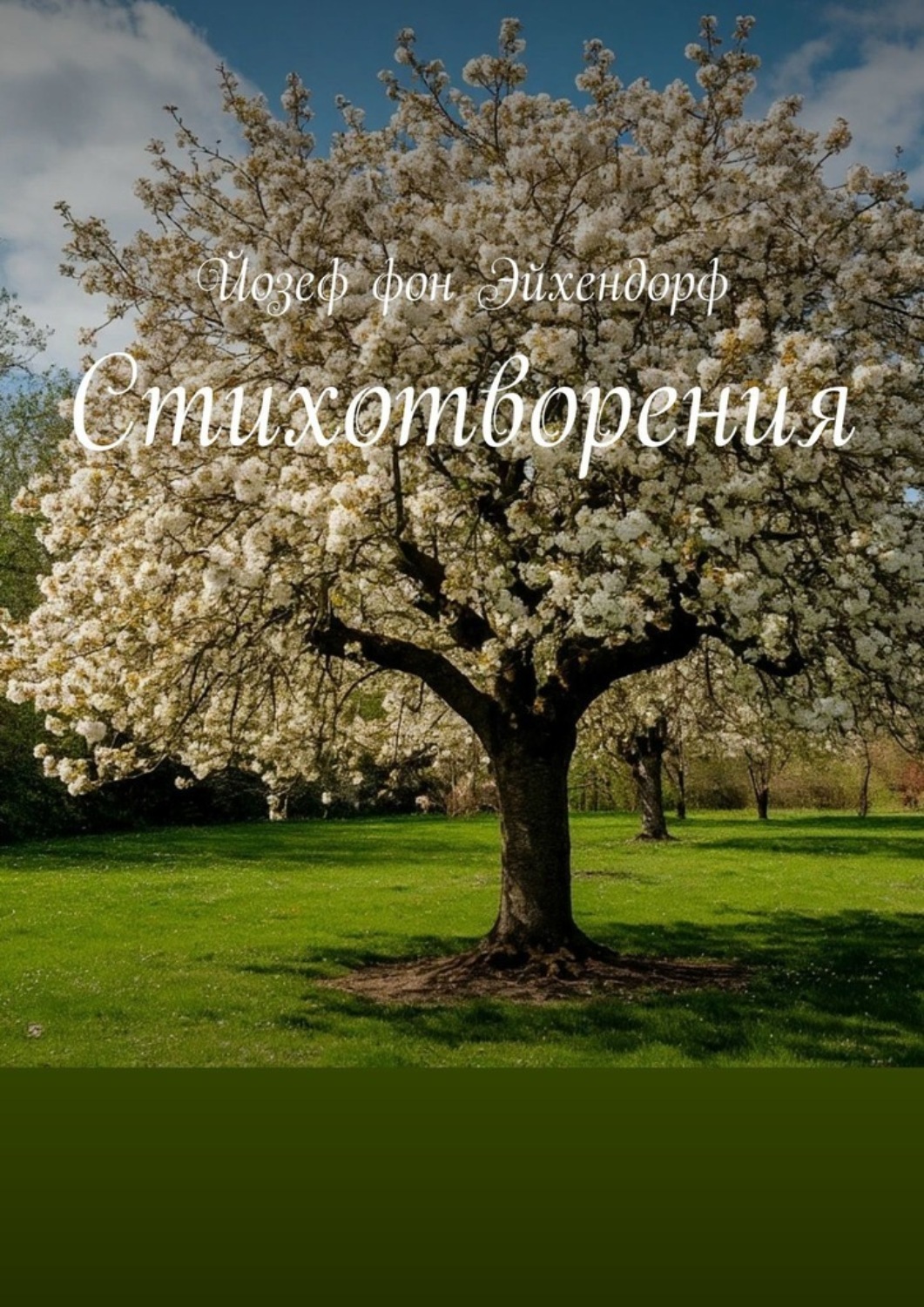 Обложка книги «Стихотворения»