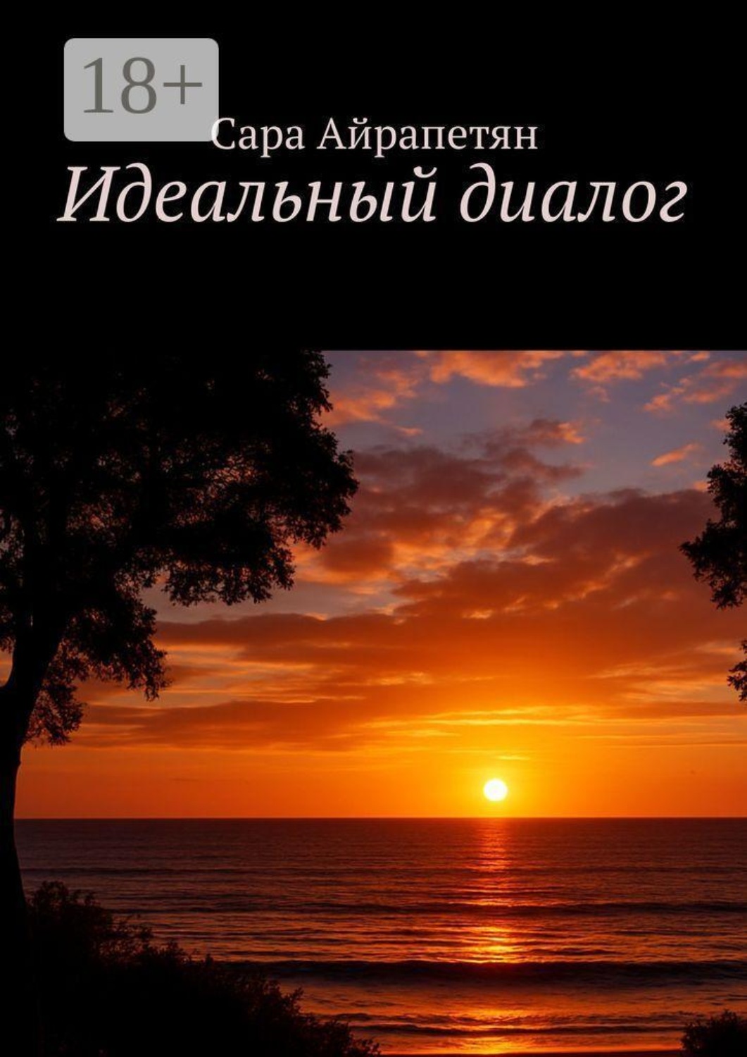 Обложка книги «Идеальный диалог»