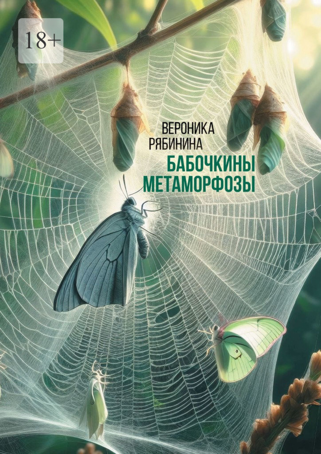 Обложка книги «Бабочкины метаморфозы»
