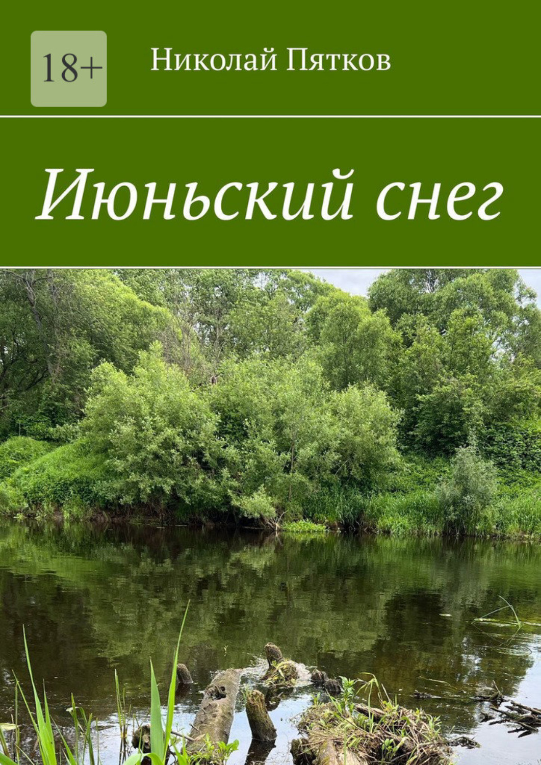 Обложка книги «Июньский снег. Рассказы»
