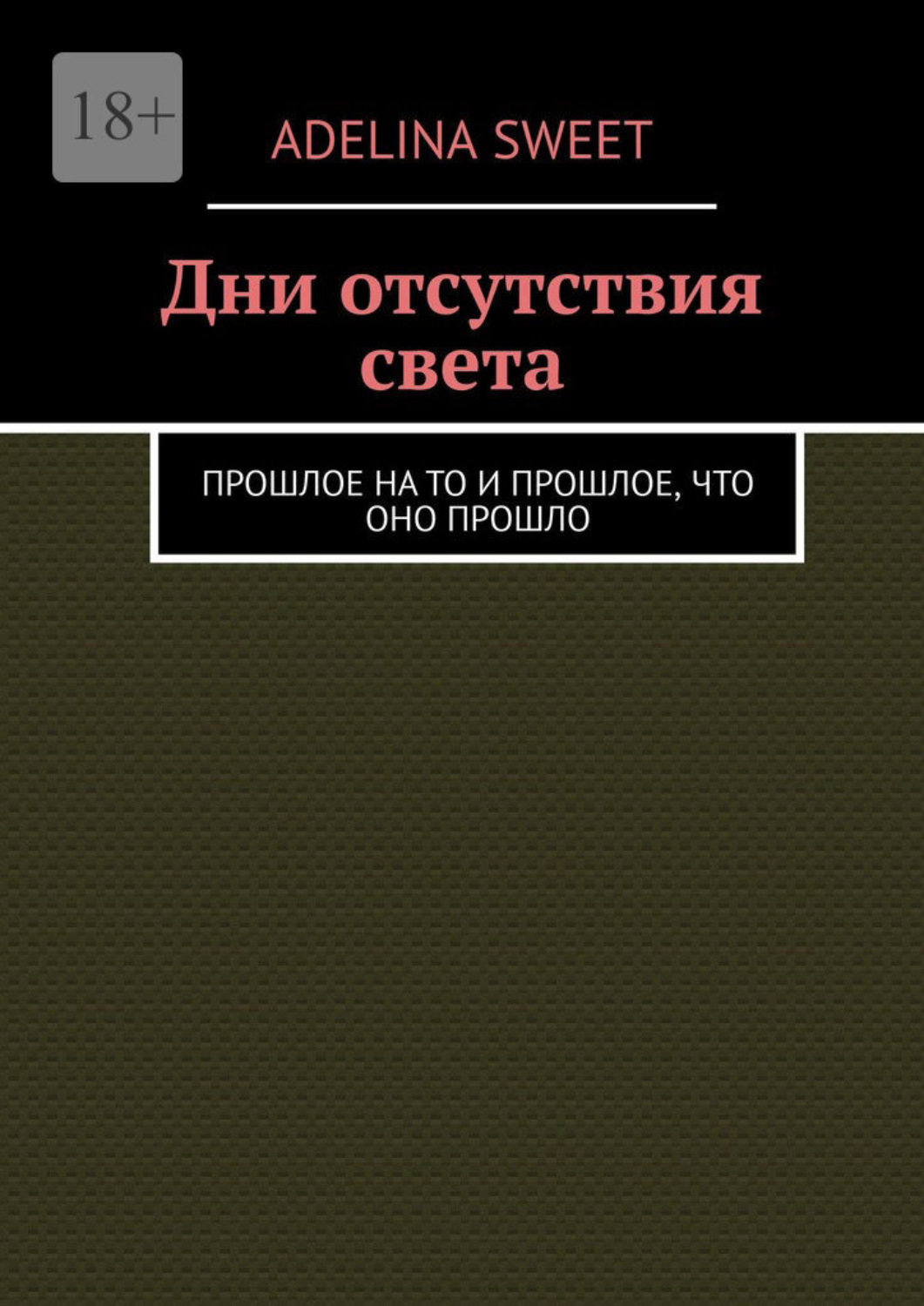 Обложка книги «Дни отсутствия света. Прошлое на то и прошлое, что оно прошло»