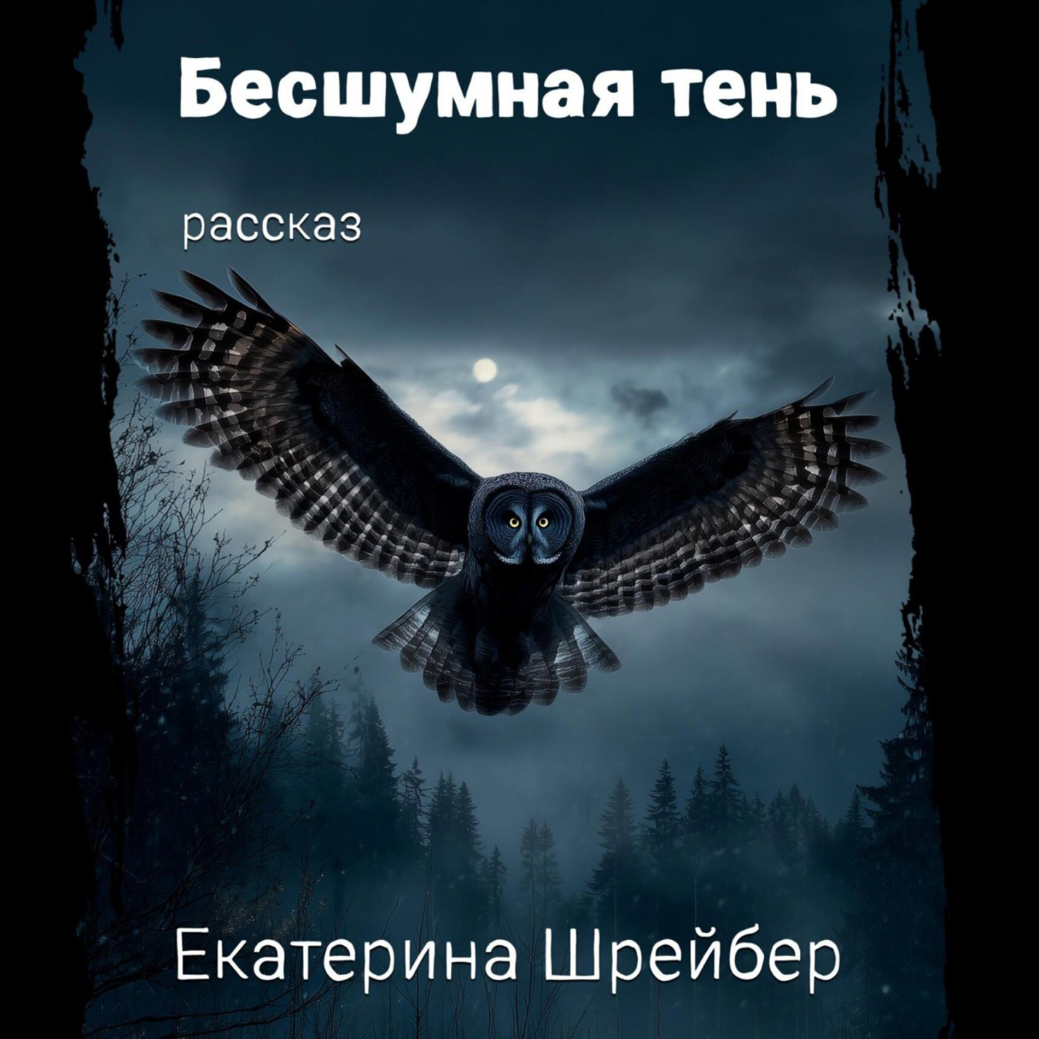 Обложка книги «Бесшумная тень»