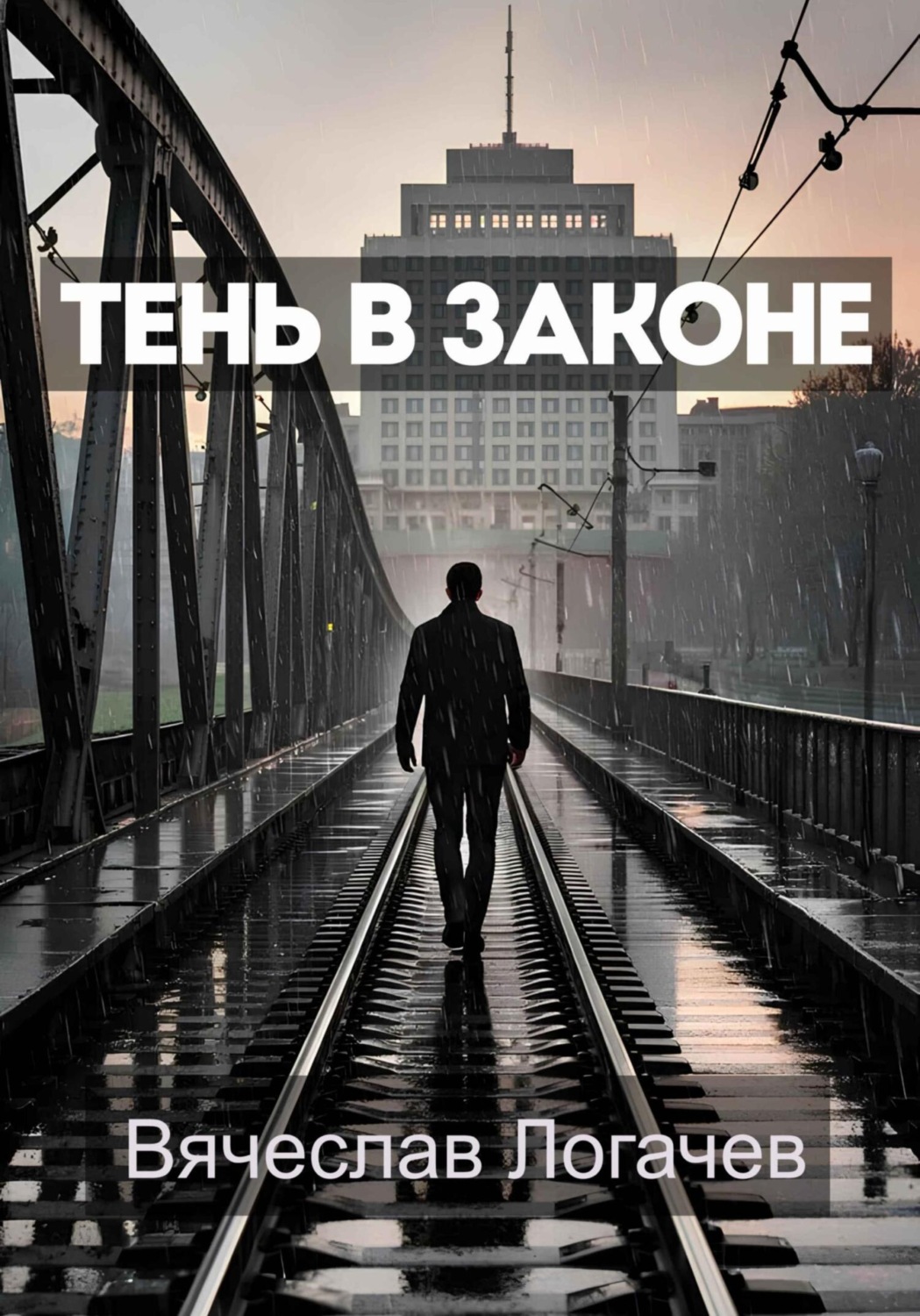 Обложка книги «Тень в законе»