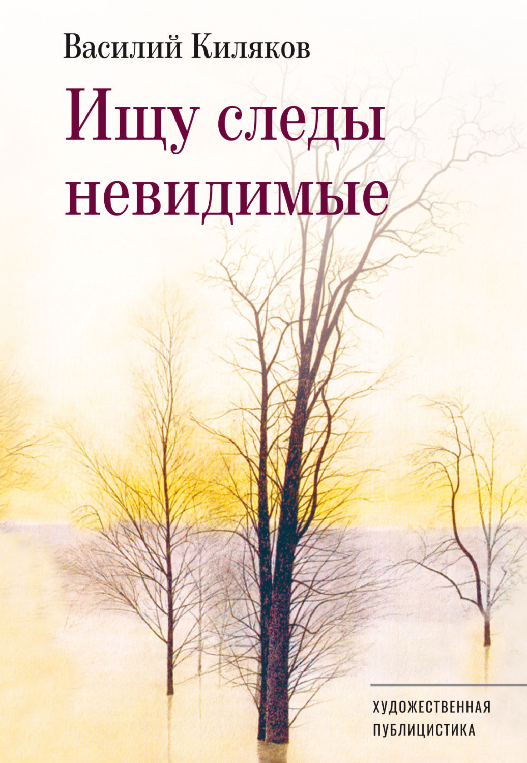 Обложка книги «Ищу следы невидимые»