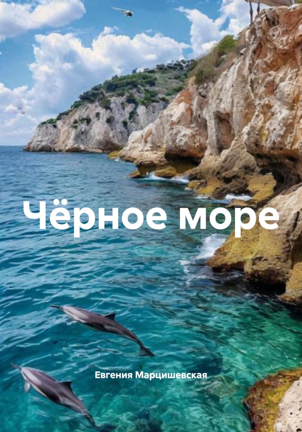 Обложка книги «Чёрное море»