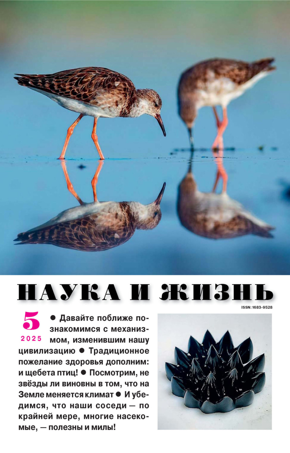 Обложка книги «Наука и жизнь №05/2025»