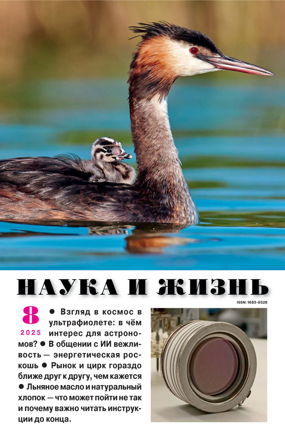 Обложка книги «Наука и жизнь №08/2025»
