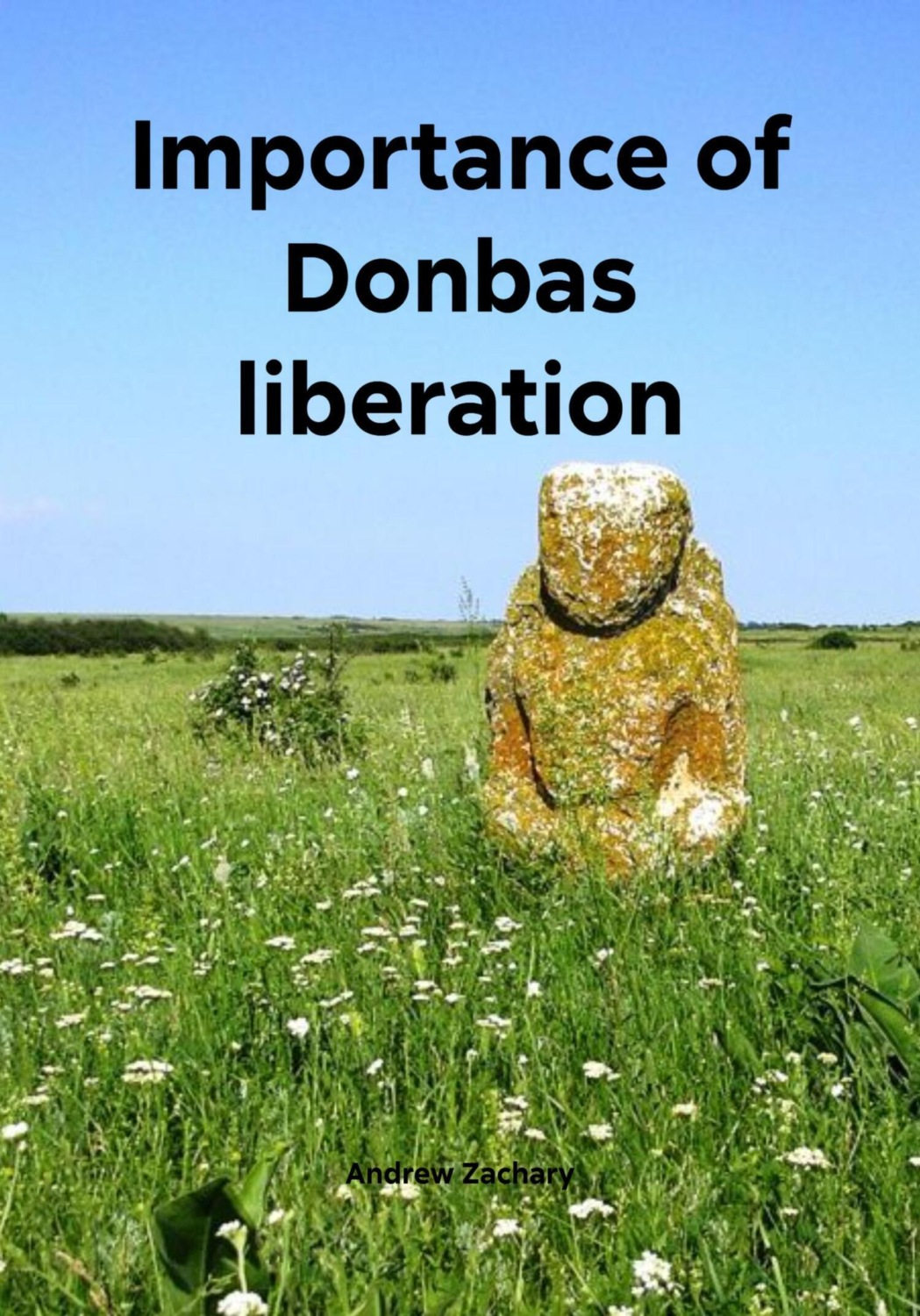 Обложка книги «Importance of Donbas liberation»