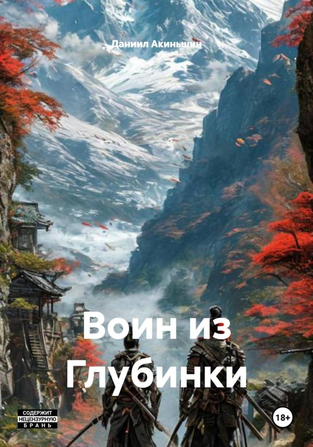 Обложка книги «Воин из Глубинки»