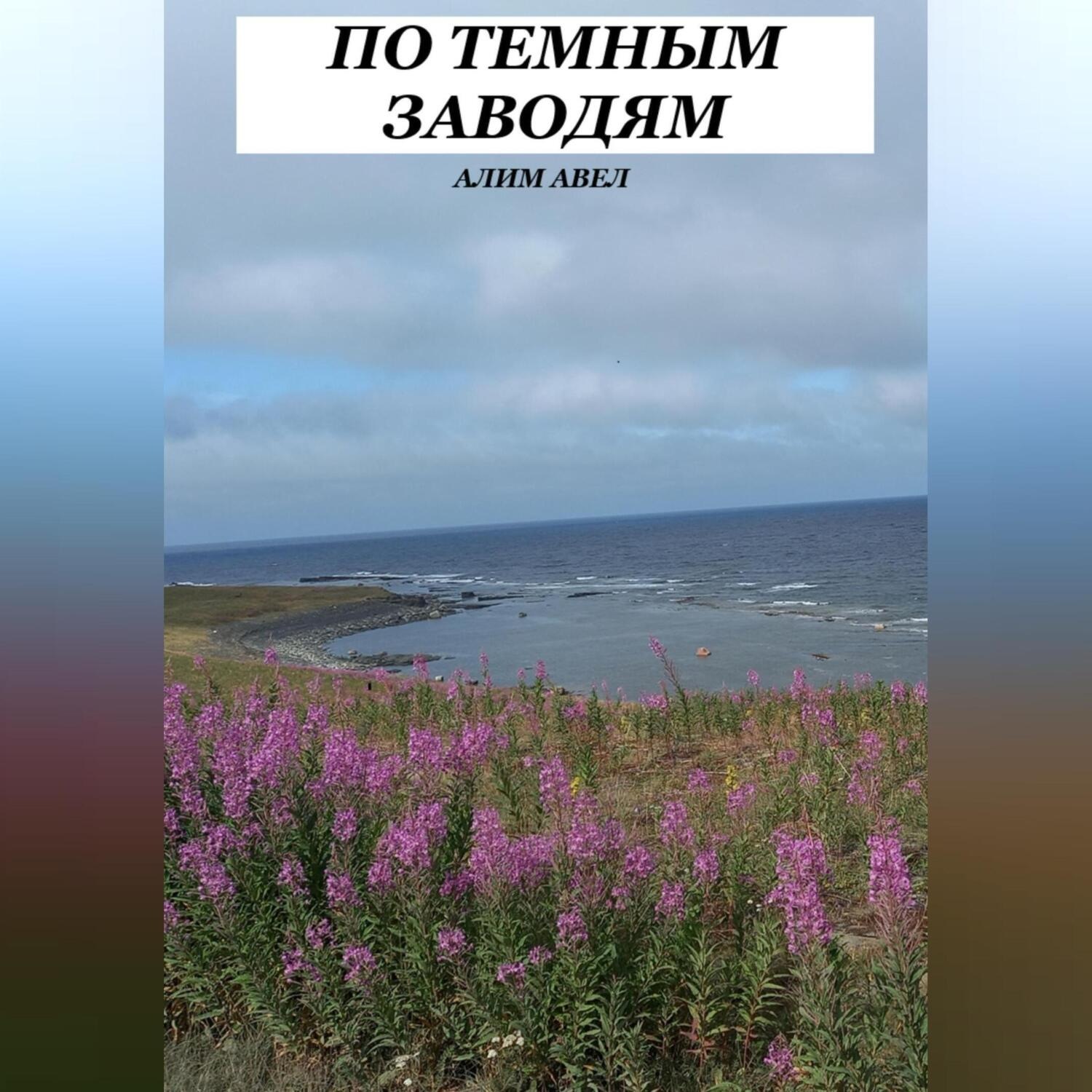 Обложка книги «ПО ТЕМНЫМ ЗАВОДЯМ»