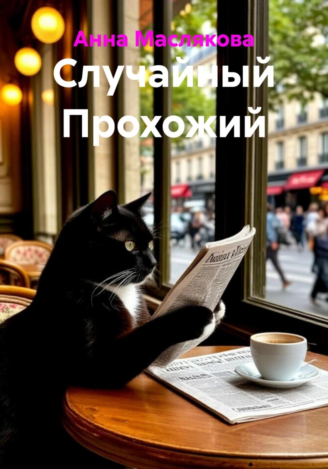 Обложка книги «Случайный прохожий»