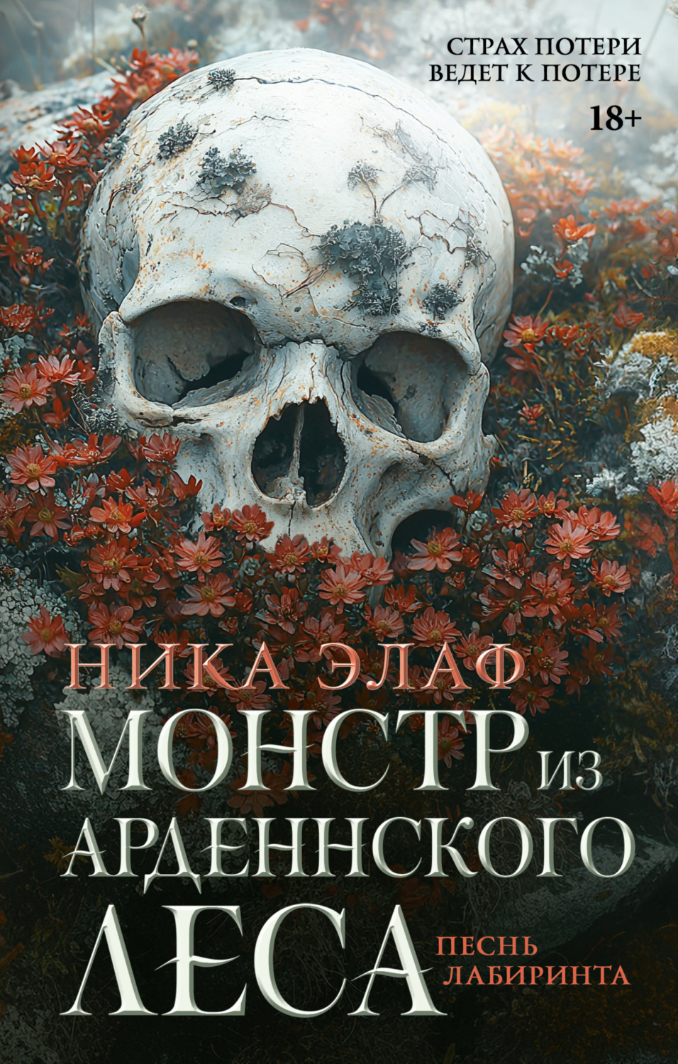 Обложка книги «Монстр из Арденнского леса. Песнь лабиринта»