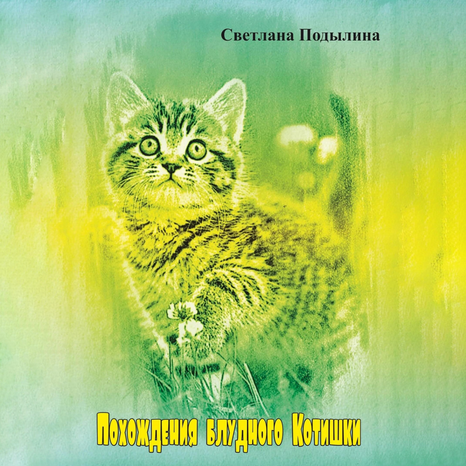 Обложка книги «Похождение блудного котишки»