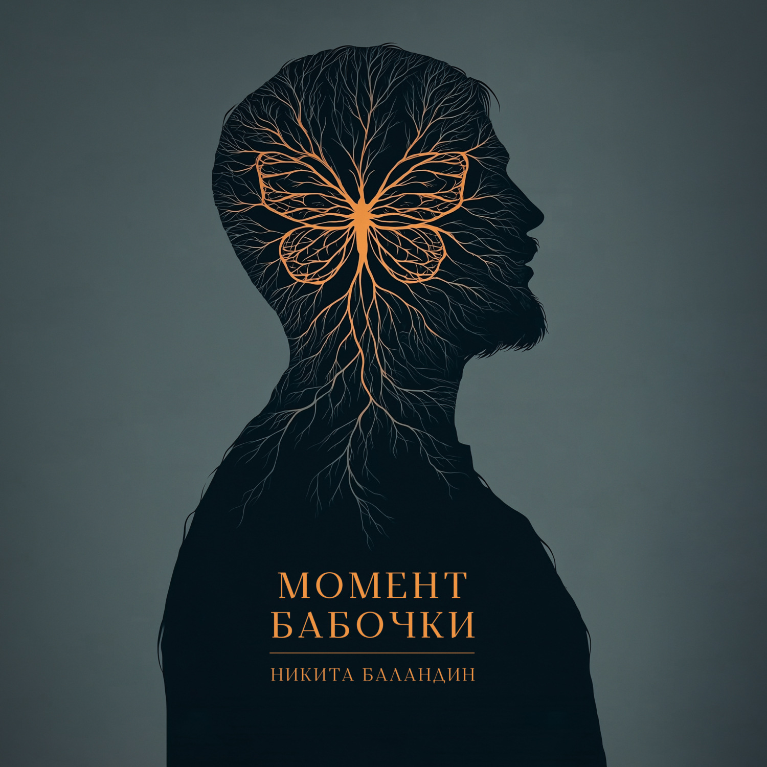 Обложка книги «Момент Бабочки»