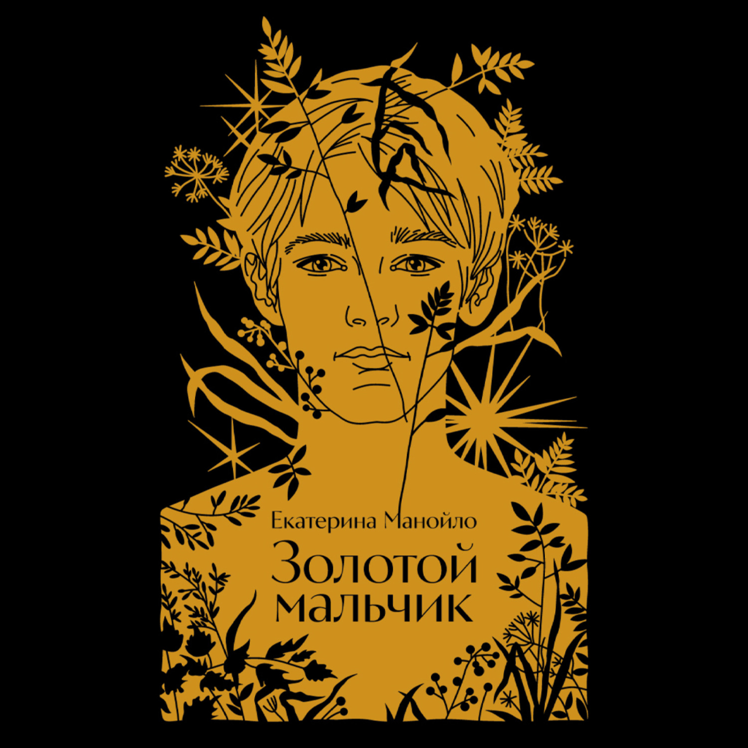 Обложка книги «Золотой мальчик»