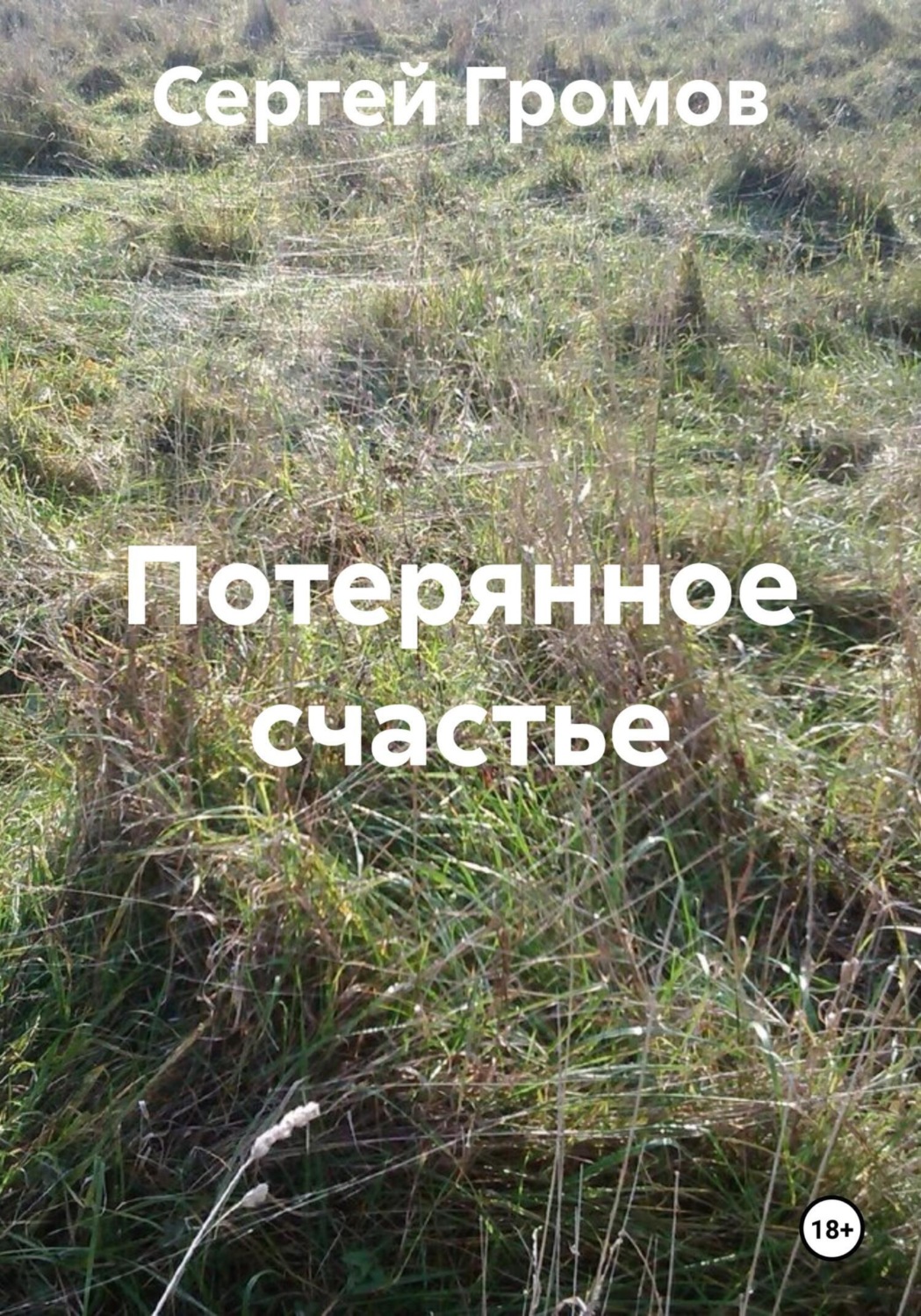 Обложка книги «Потерянное счастье»