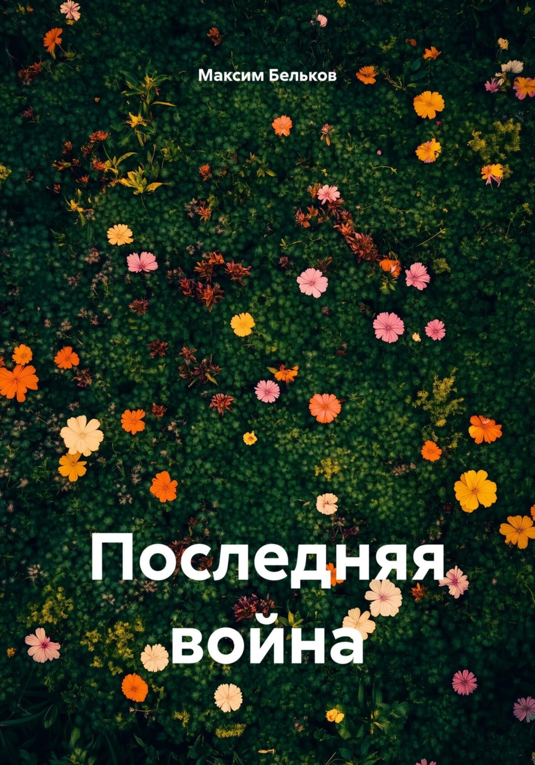 Обложка книги «Последняя война»