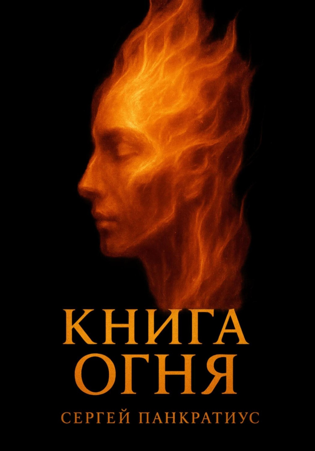 Обложка книги «Книга огня»