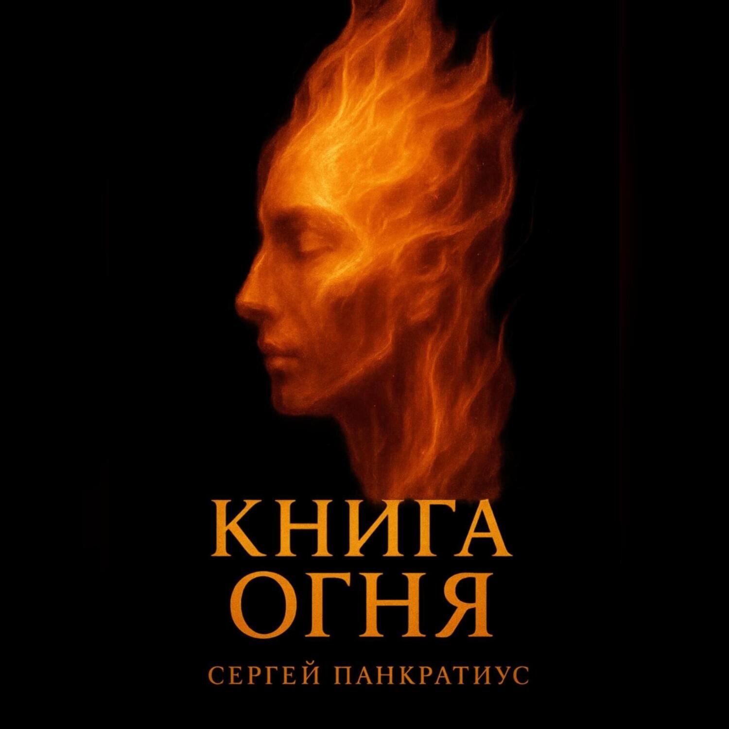 Обложка книги «Книга огня»