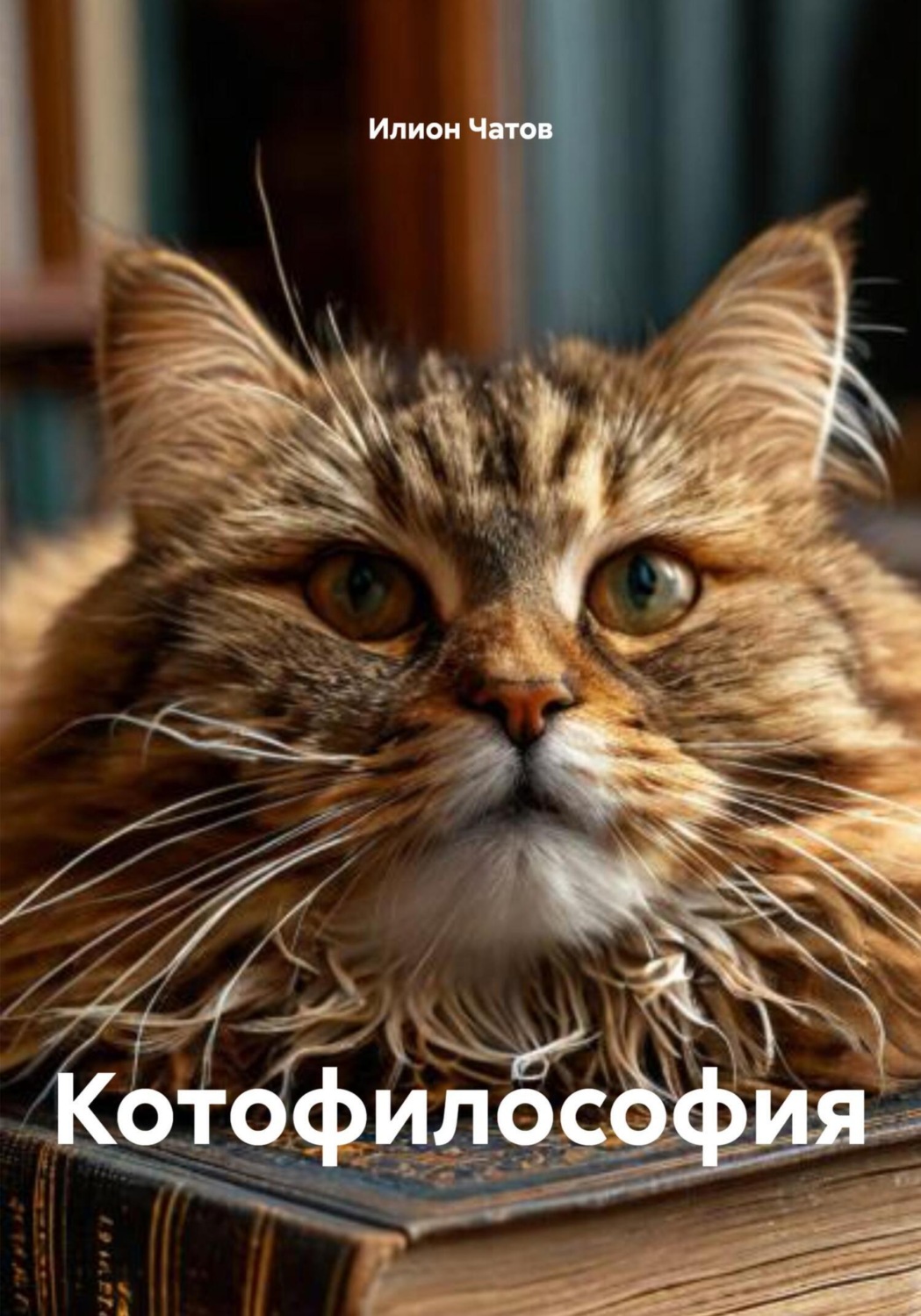 Обложка книги «Котофилософия»