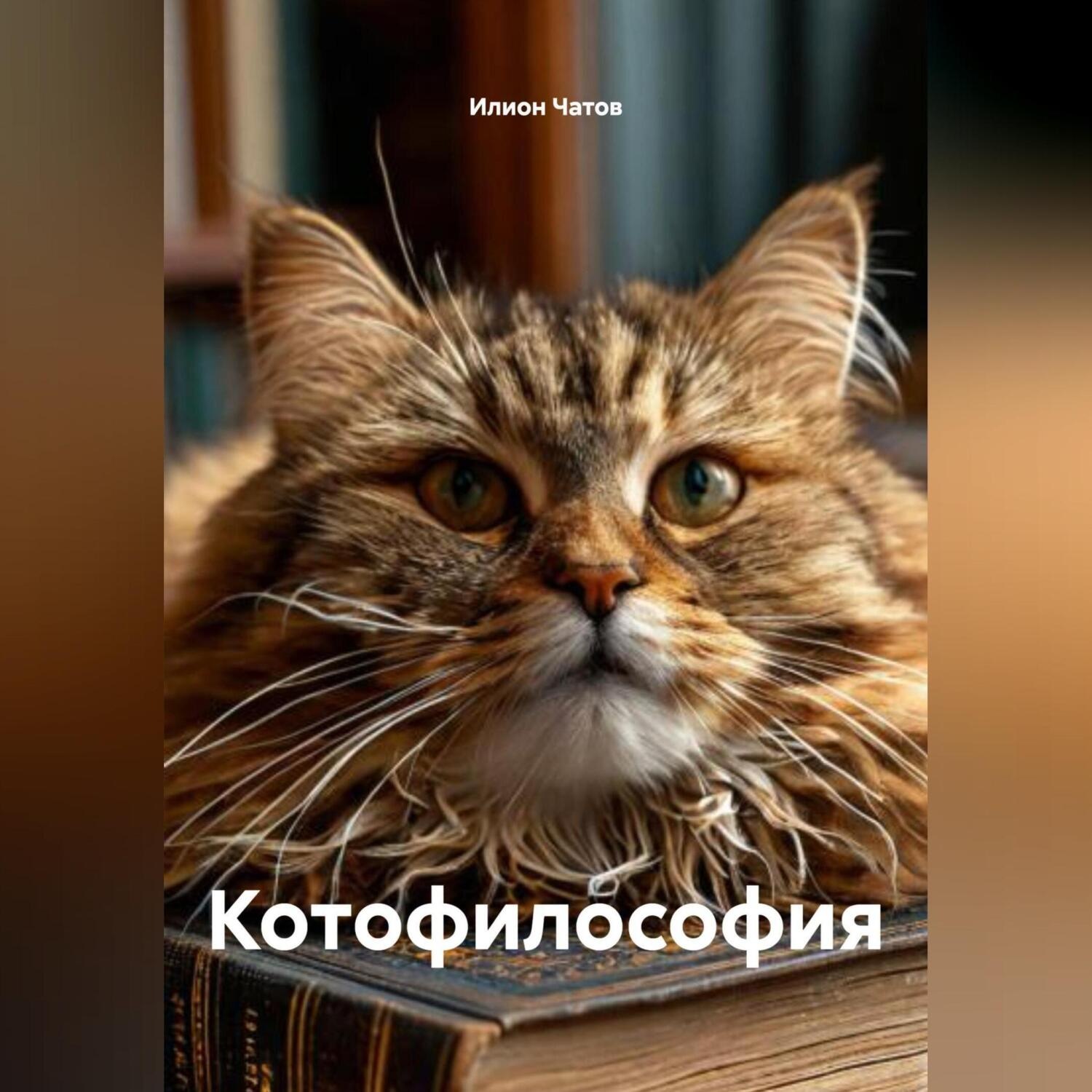Обложка книги «Котофилософия»