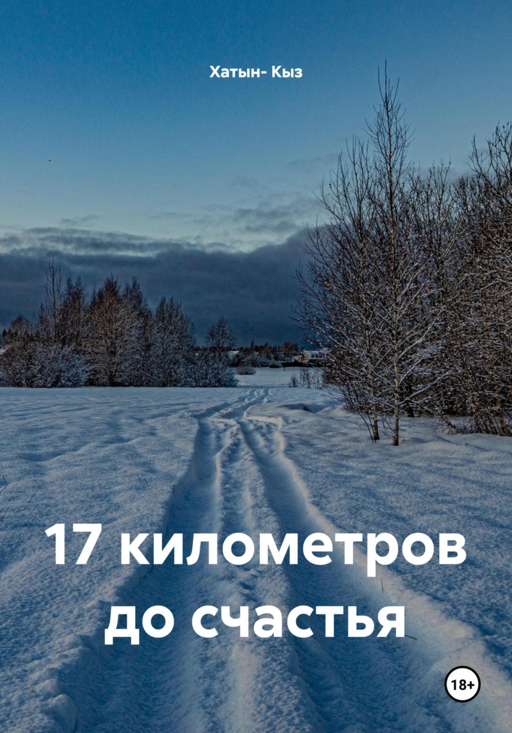 Обложка книги «17 километров до счастья»