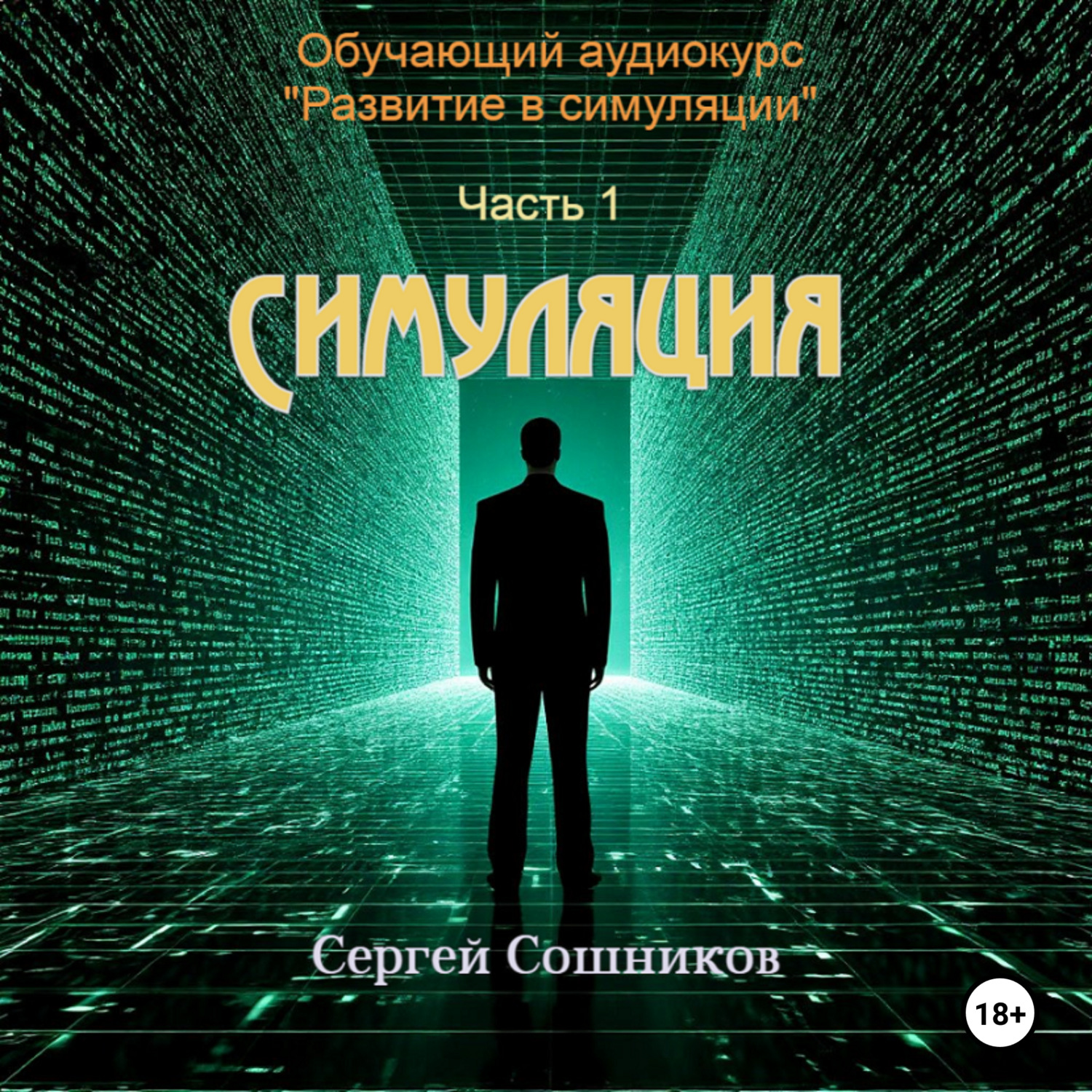 Обложка книги «Симуляция»