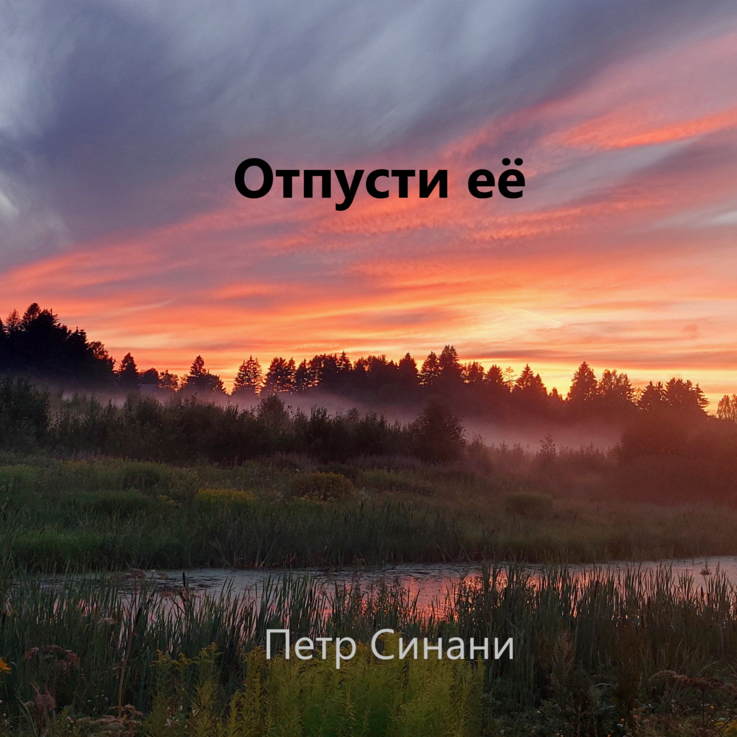 Обложка книги «Отпусти ЕЁ»