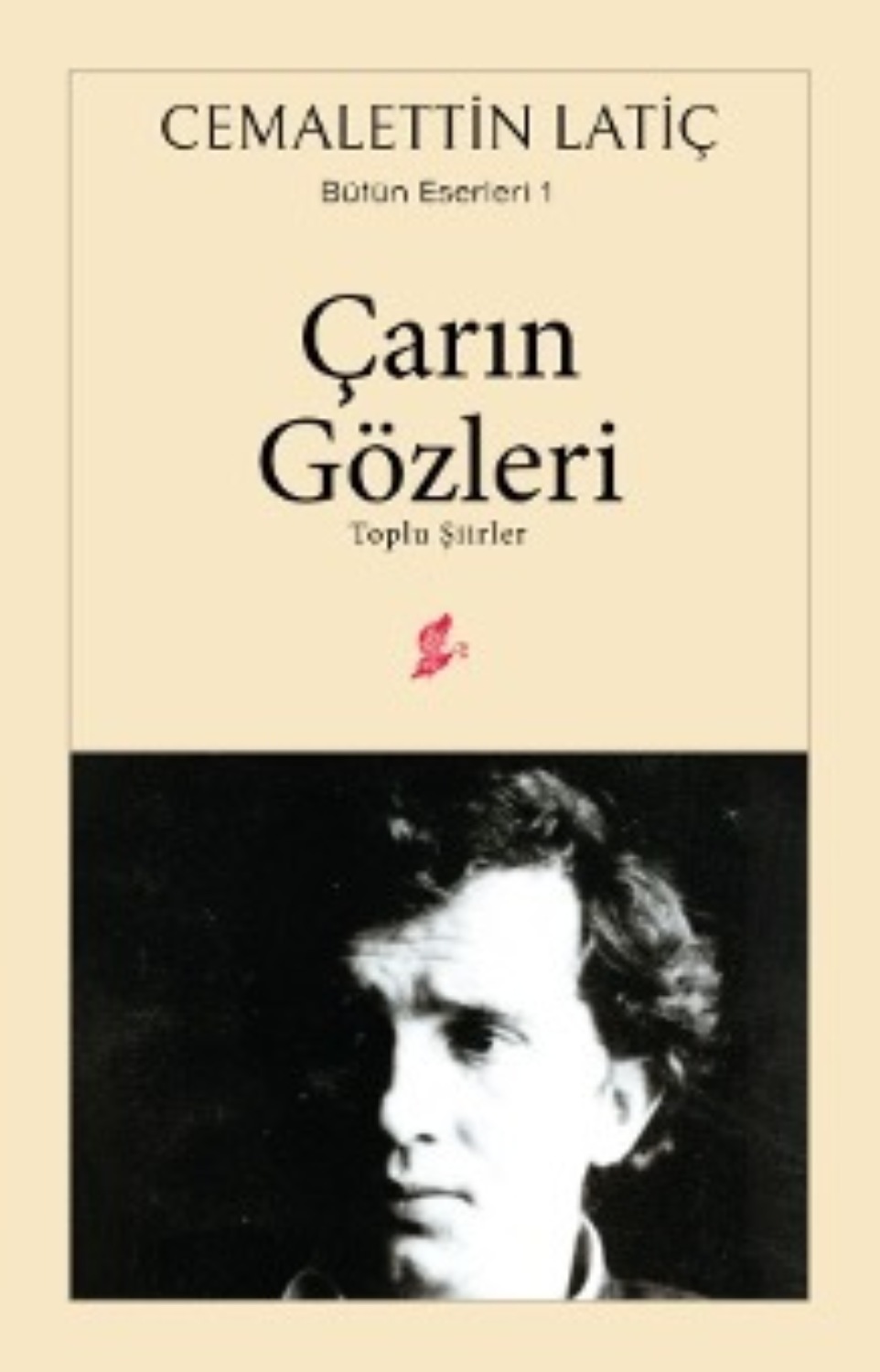 Обложка книги «Çarın gözleri»