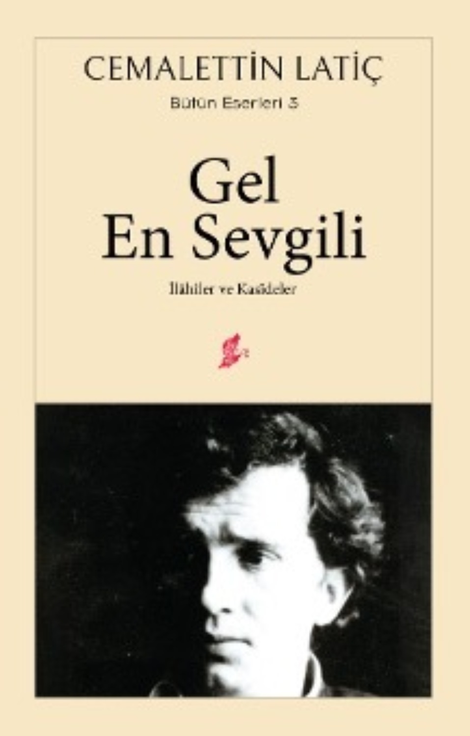 Обложка книги «Gel en sevgili»