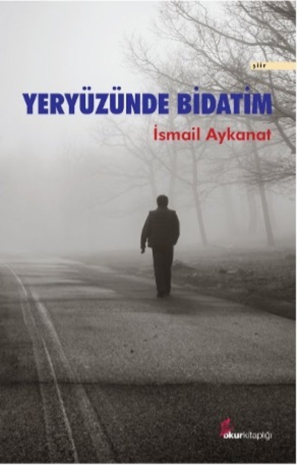 Обложка книги «Yeryüzünde bidatim»