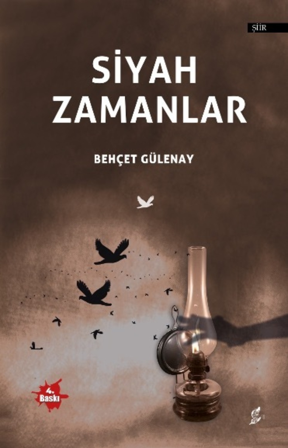 Обложка книги «Siyah zamanlar»