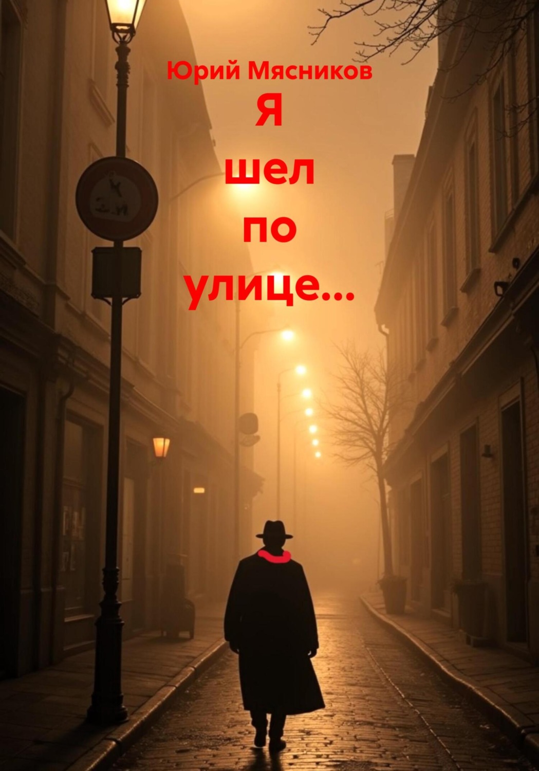 Обложка книги «Я шел по улице…»