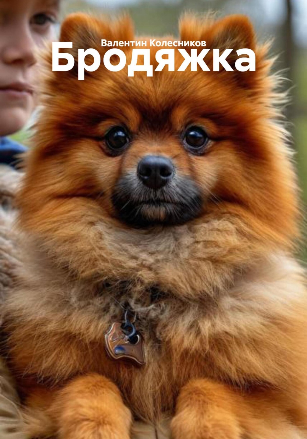 Обложка книги «Бродяжка»