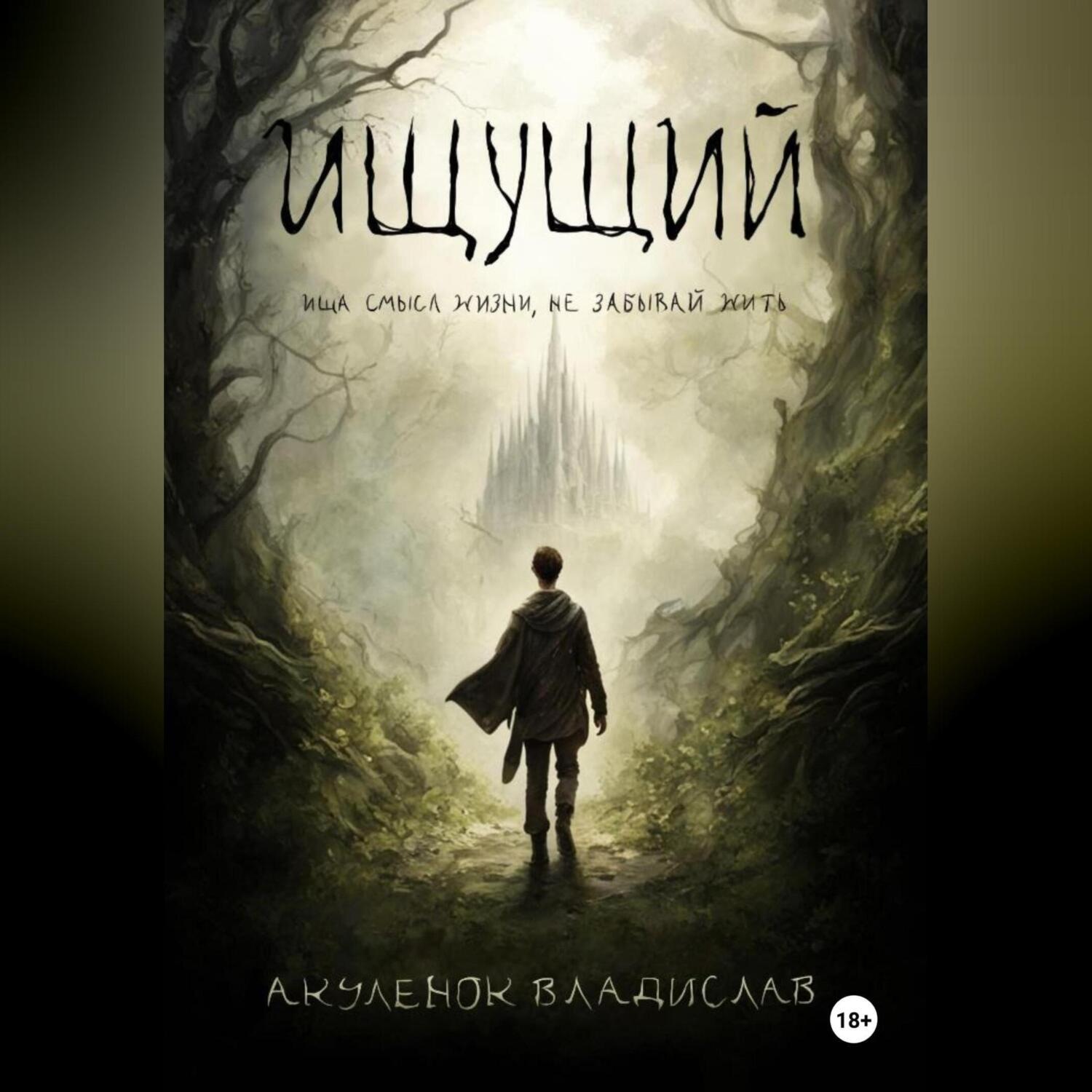 Обложка книги «Ищущий»