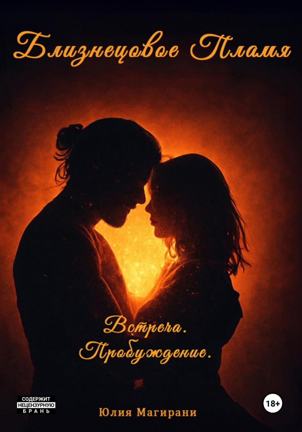 Обложка книги «Близнецовое Пламя. Встреча. Пробуждение»