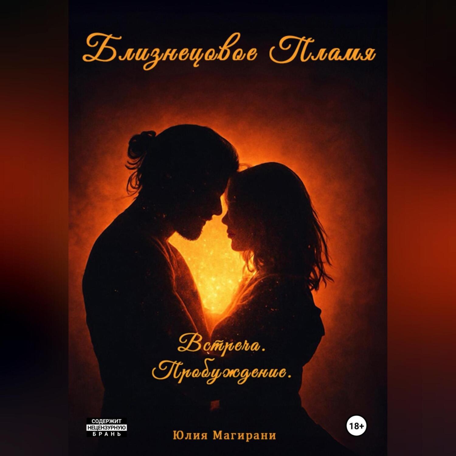 Обложка книги «Близнецовое Пламя. Встреча. Пробуждение»