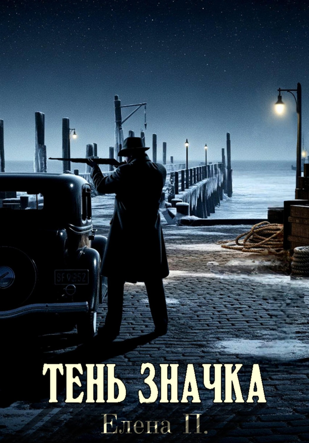 Обложка книги «Тень значка»