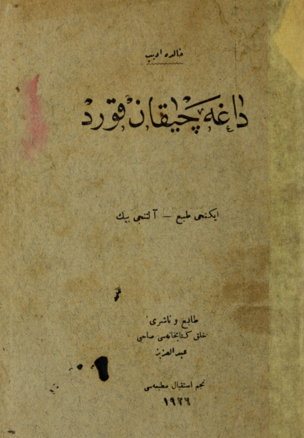 Обложка книги «Dağa çıkan kurt»