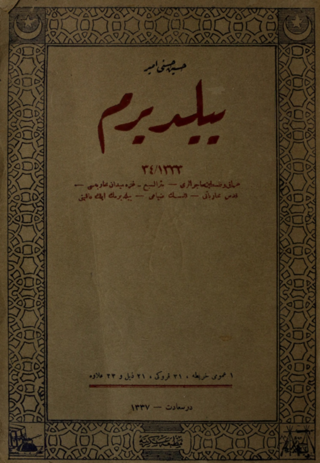 Обложка книги «Yıldırım»