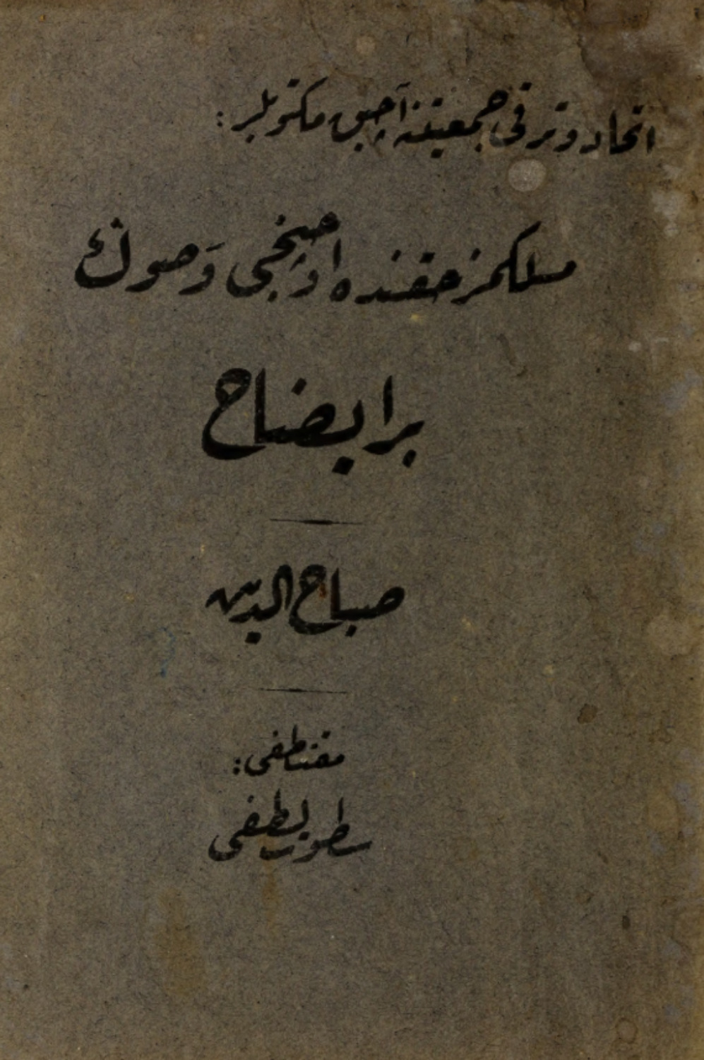Обложка книги «İttihad ve Terakki Cem'iyetine açik mektublar»