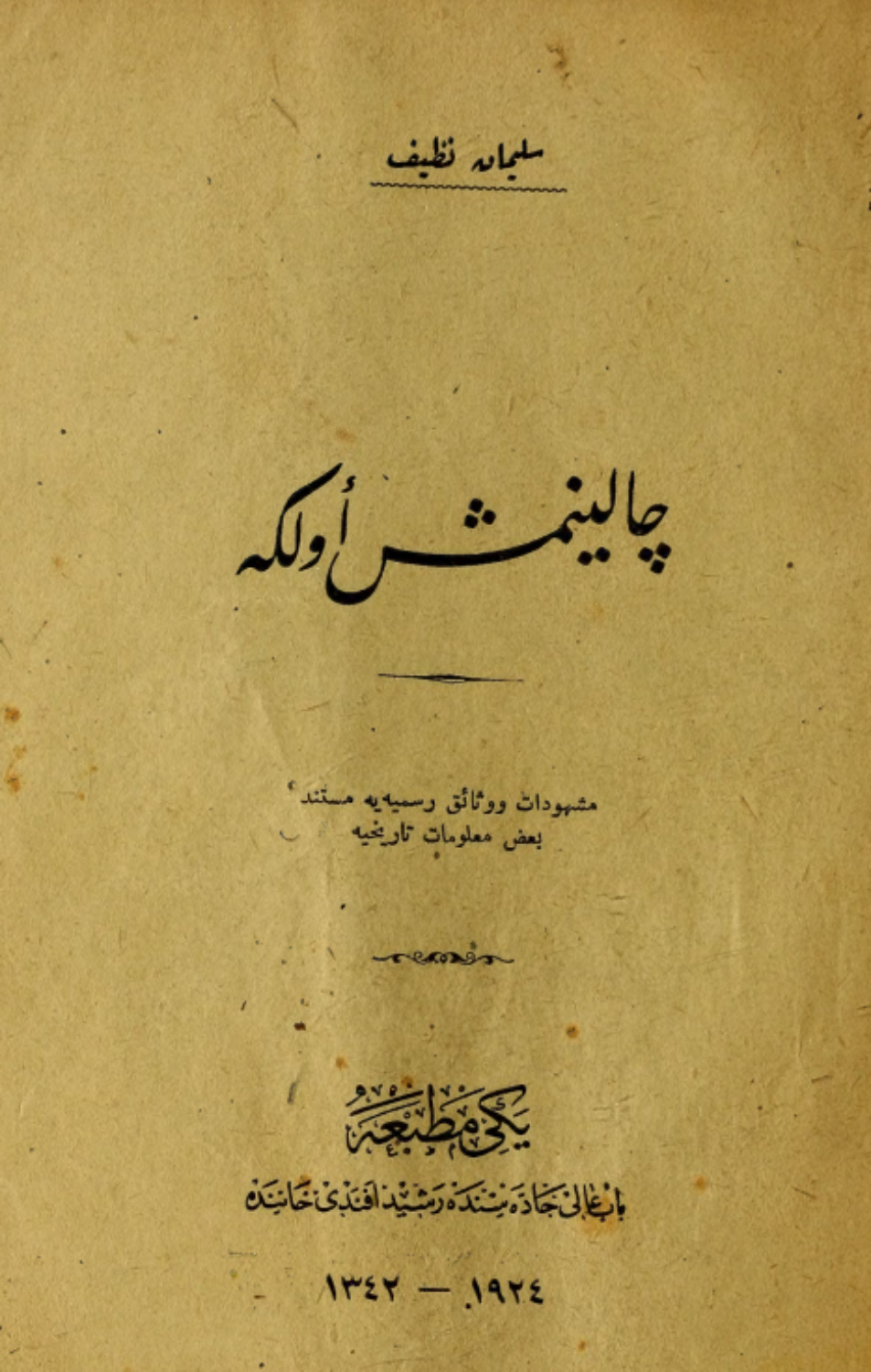 Обложка книги «Çalınmış ülke»