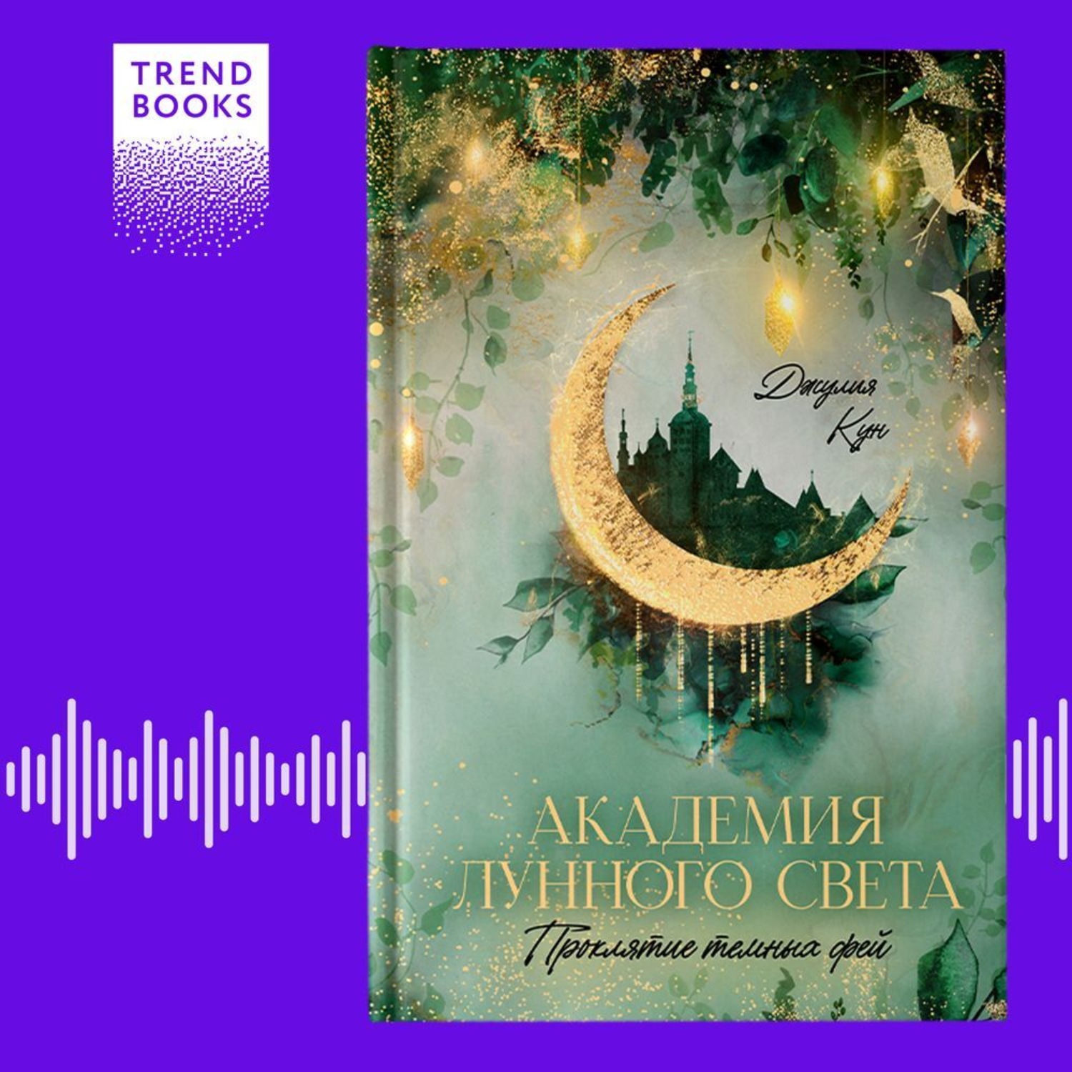Обложка книги «Академия лунного света. Проклятие темных фей»