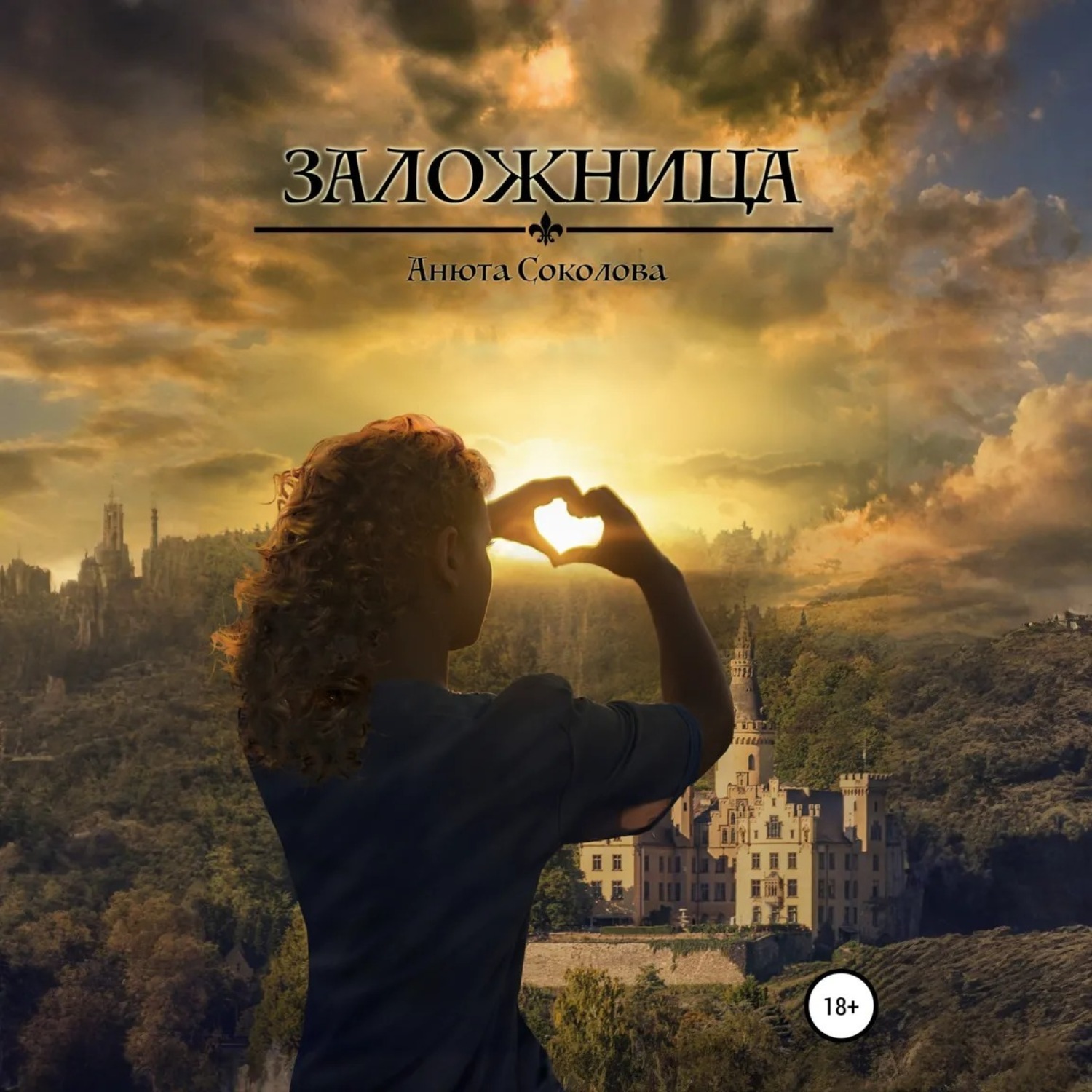 Обложка книги «Заложница»