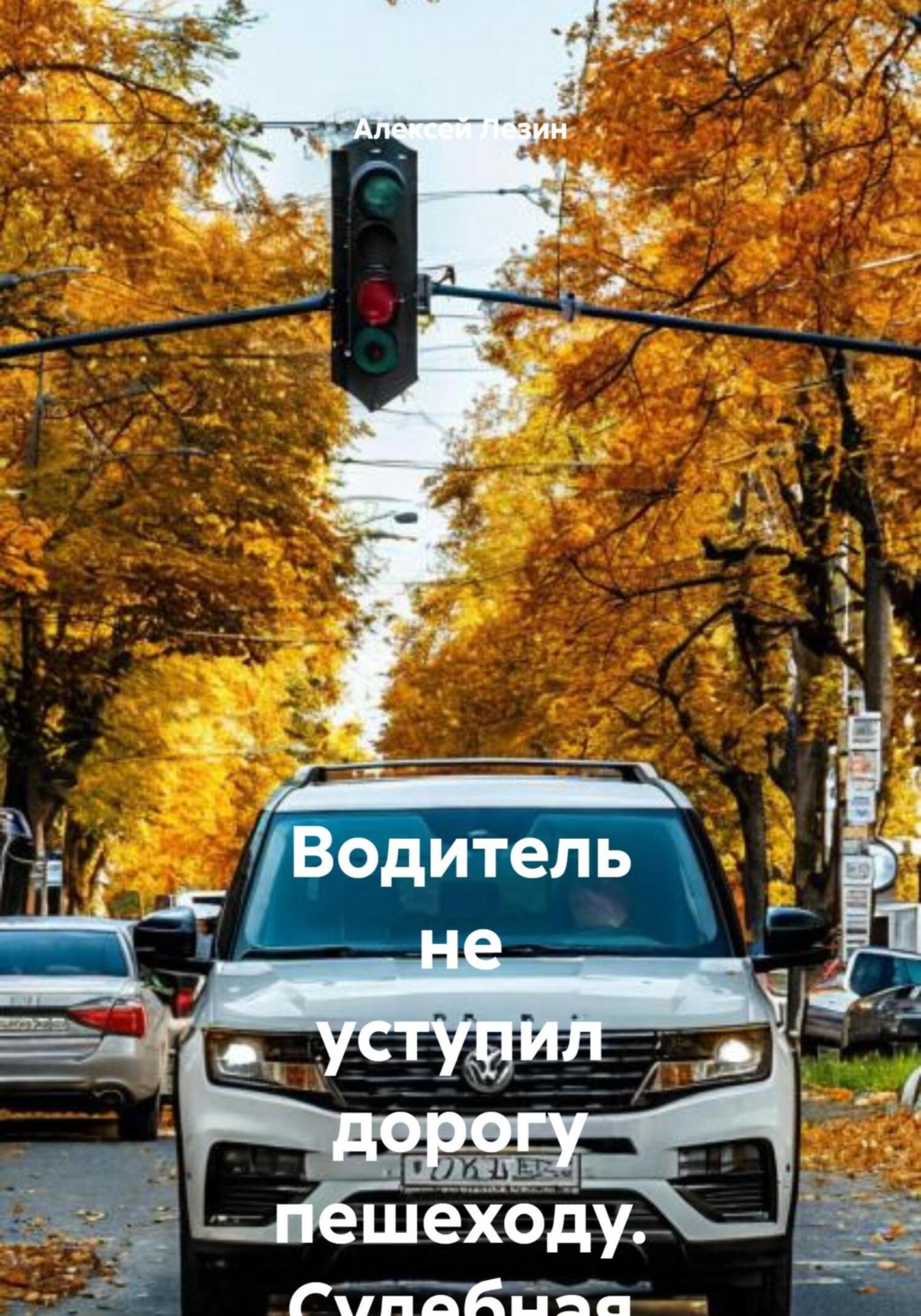 Обложка книги «Водитель не уступил дорогу пешеходу. Судебная практика кассационных судов»