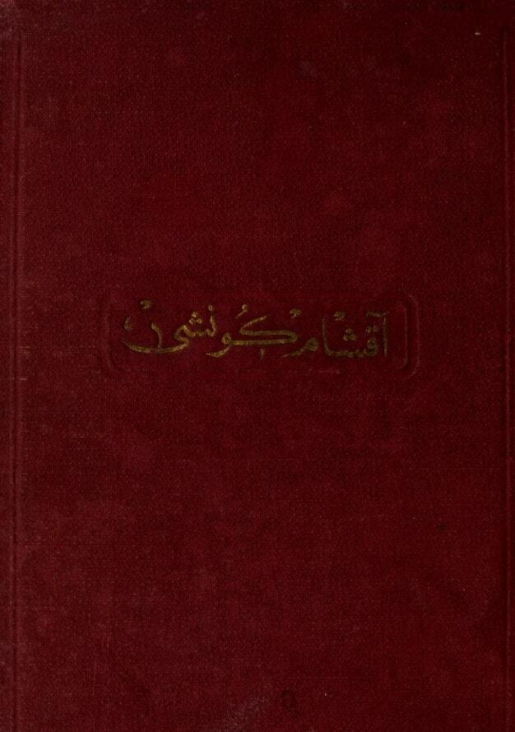 Обложка книги «Akşam güneşi»