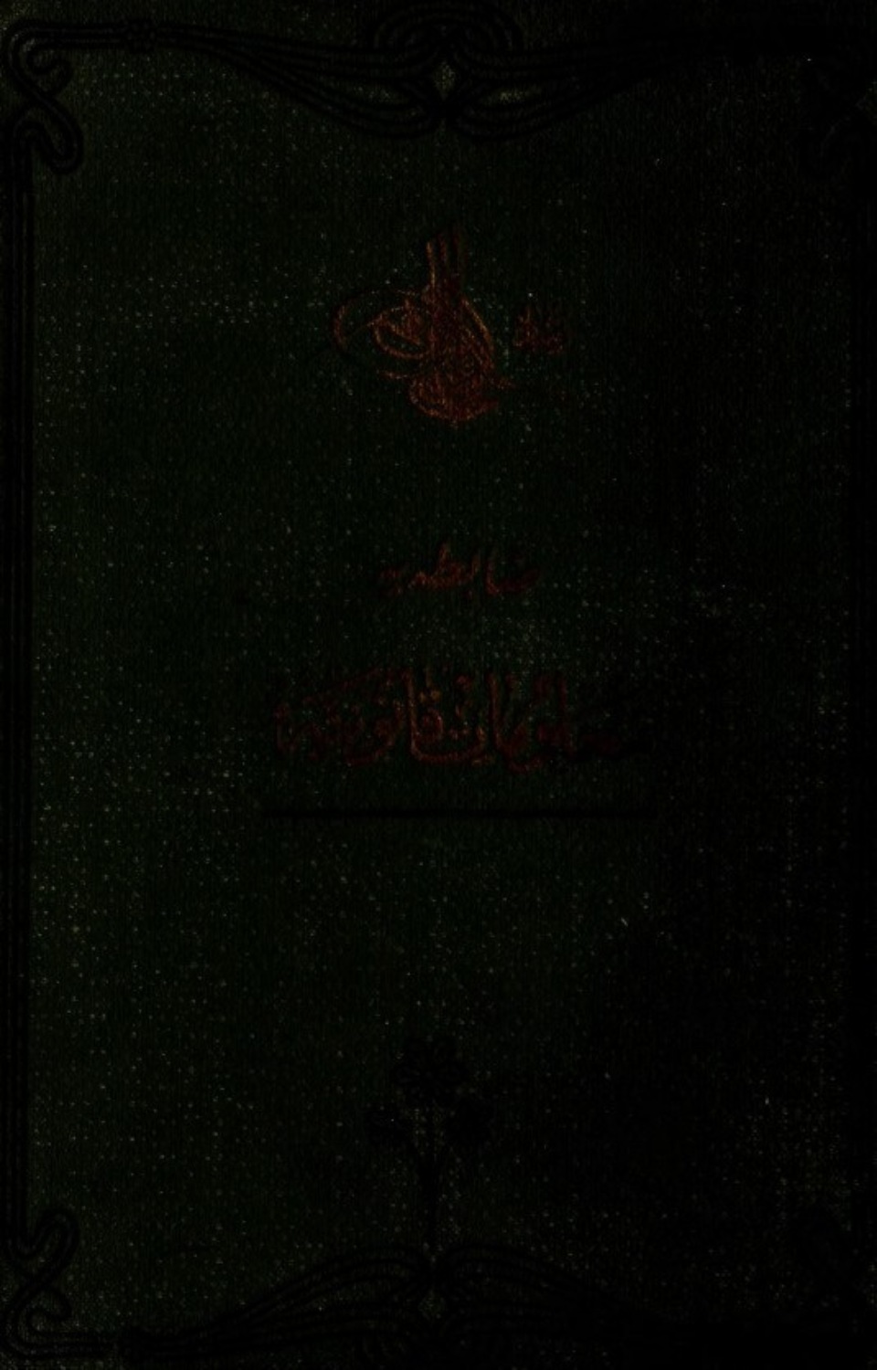 Обложка книги «Zâbta-y malûmat- kanuniye»