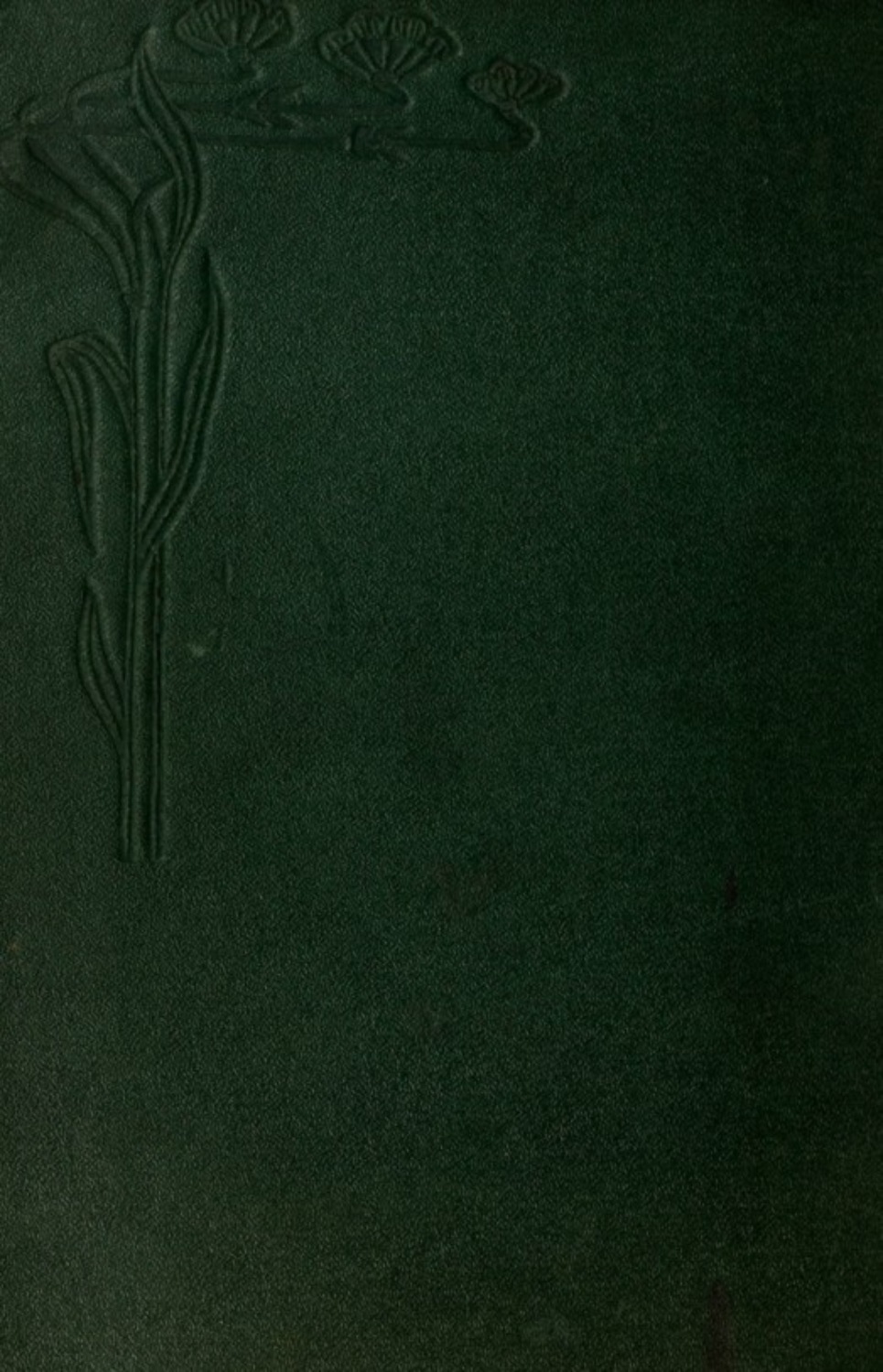 Обложка книги «Tercüme-yi Risale-yi Sipahsalar bimenakıb-i hazret-i Hüdavendigār kuddise sırrehü 'l-aʻlā»